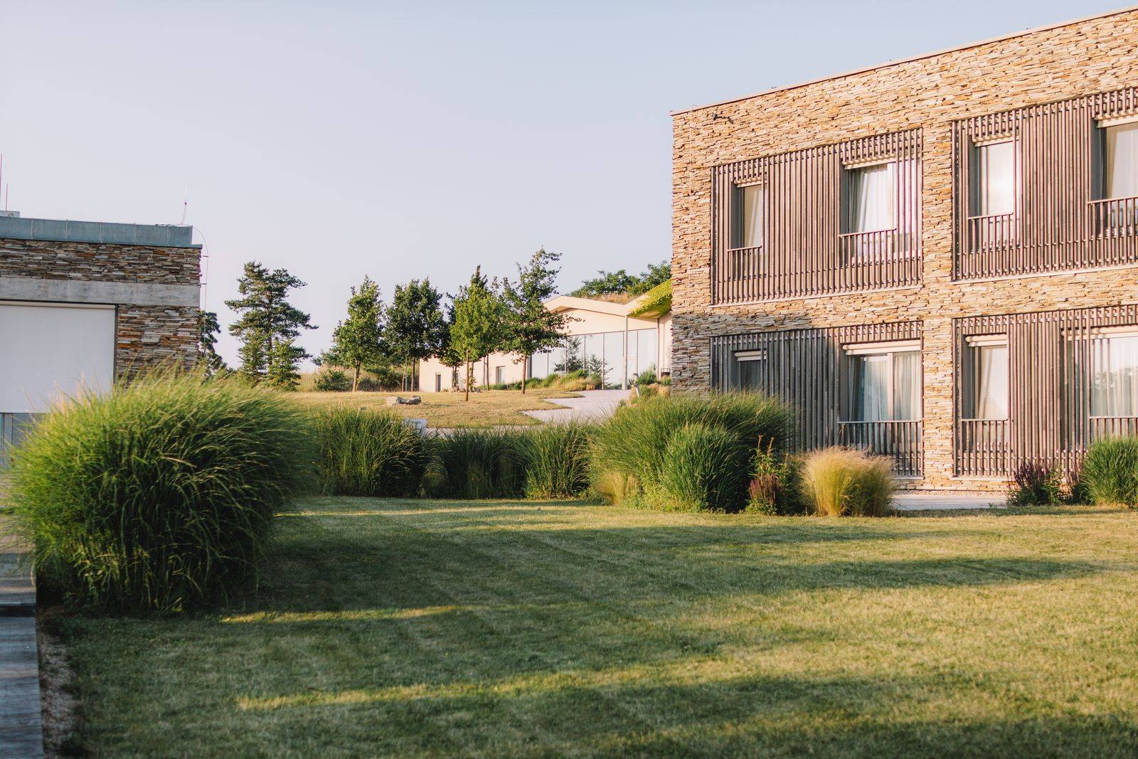 Mowed lawn and ornamental grasses in front of a modern stone commercial building
