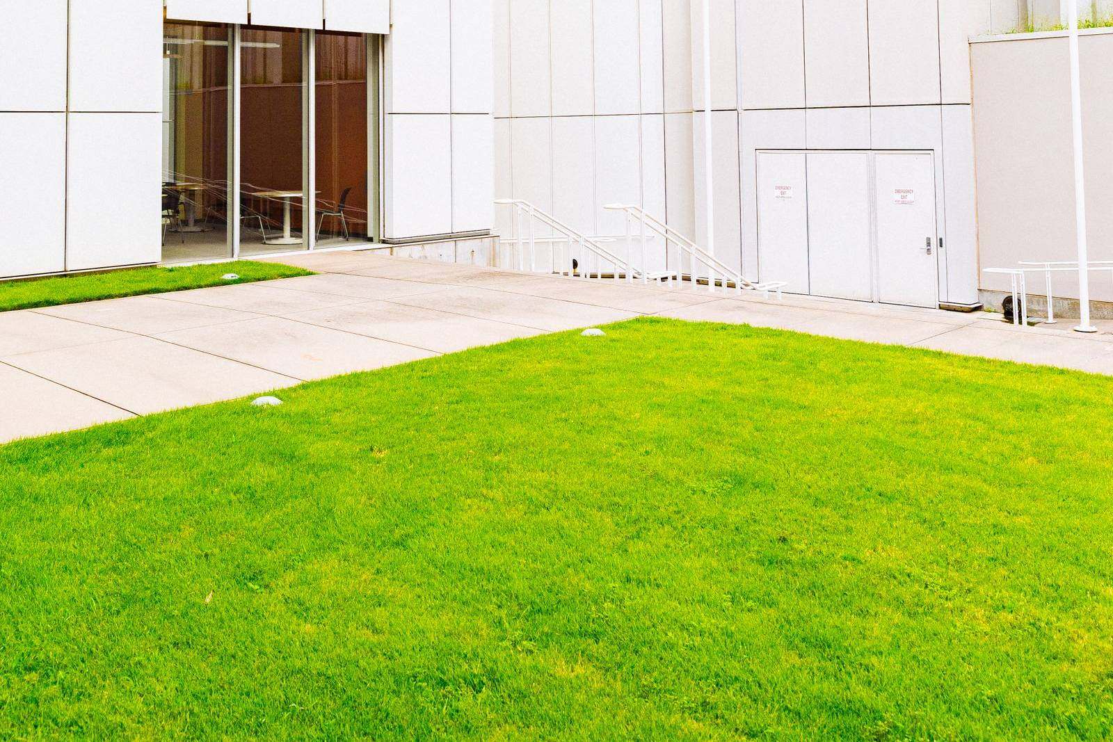 Freshly mowed lawn beside a modern white office building